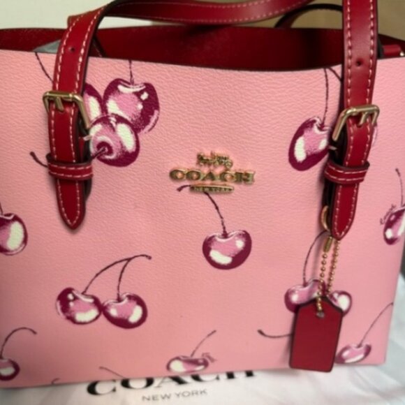 Coach Tote Bag in Pink Leather with Sweet Cherries - Picture 5 of 5